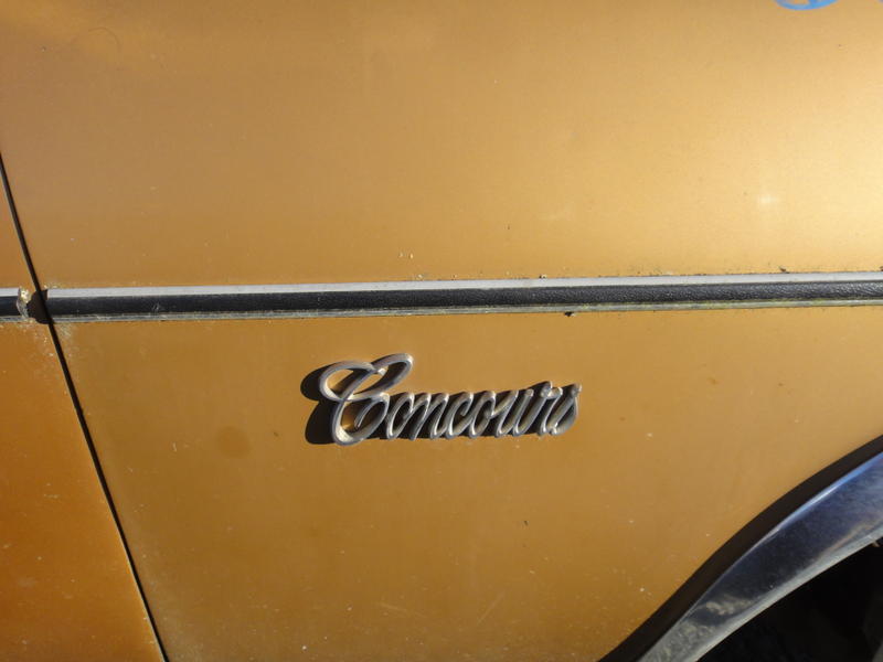Its a Concours! Tried to take the the badges but they were bolted on and I didn’t want to remove the inner fenders.